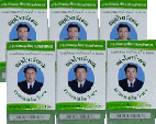 Category "Balm Wangphrom" : Wangphrom Thai Green Balm (6 boxes)