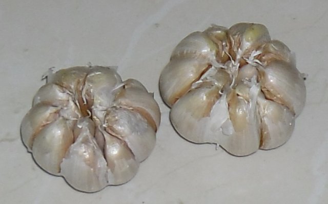 Buy this article : Garlic Thailand
