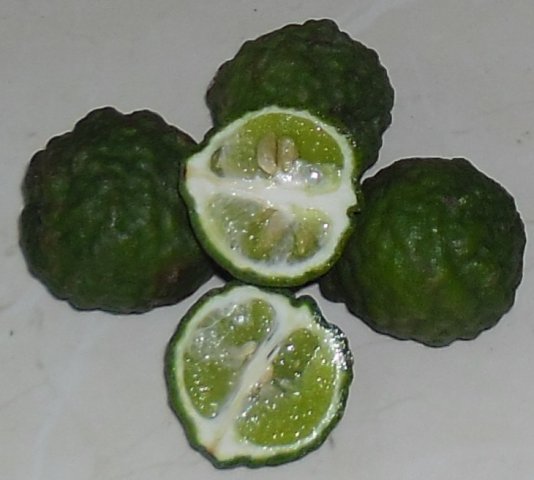 Buy this article : Kaffir lime, fruit