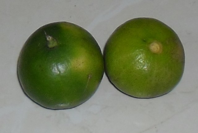 Acheter ce produit : Citron vert de Thailande, Manao